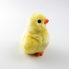 Premium Simulation Yellow Chick Plush Toys