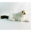  Wholesale Adorable Lifelike Ragdoll Cat Plush Stuffed Animal for Kids and Cat Lovers