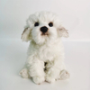 Manufacture Plush Maltese Dog Toy Adorable and Fashionable Companion for Kids